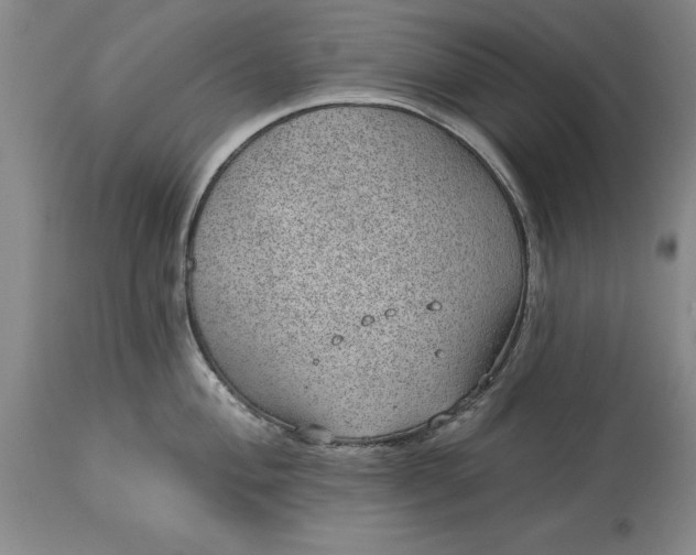 X0000113631004200910021847