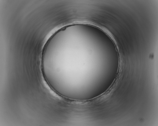 X0000113631005200910021847