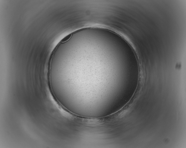 X0000113631007200910021847