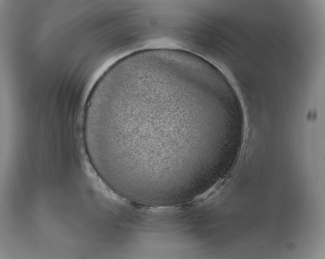 X0000113631008200910021847