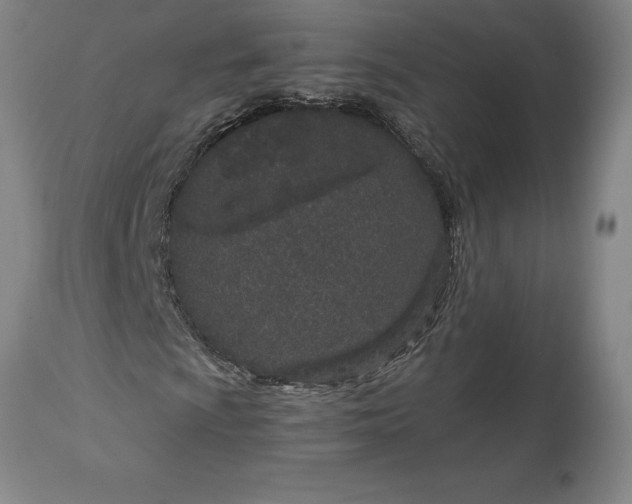X0000113631009200910021846