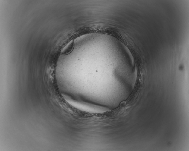 X0000113631010200910021846