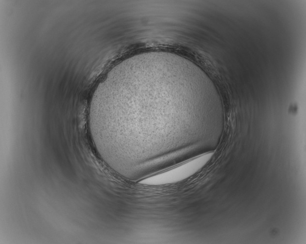 X0000113631012200910021846