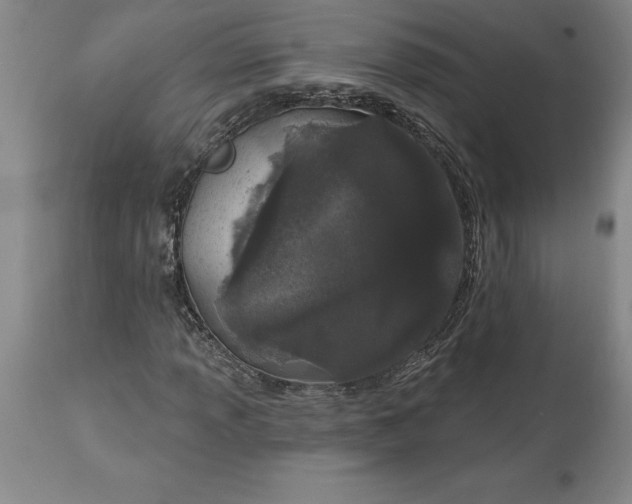 X0000113631013200910021846