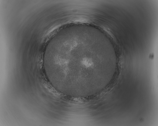 X0000113631015200910021846