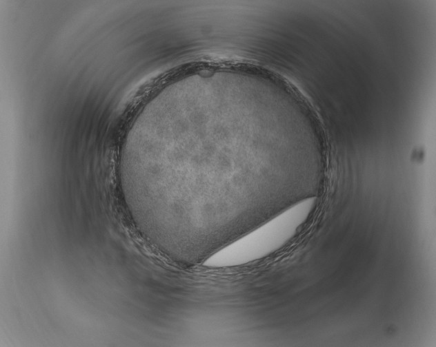X0000113631016200910021847