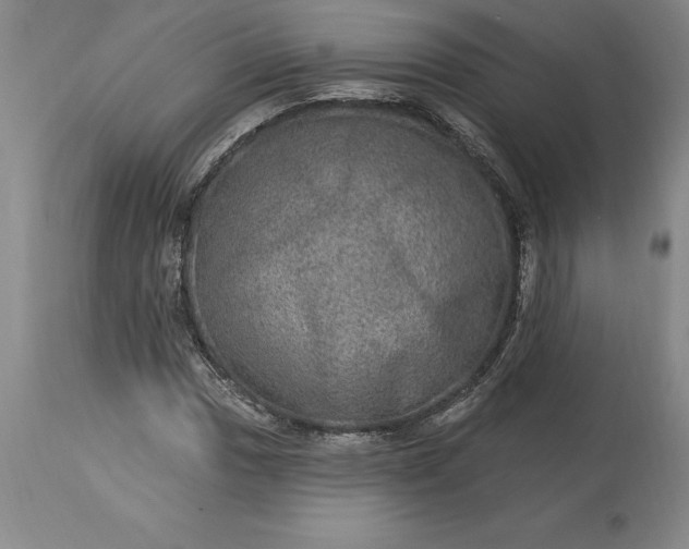 X0000113631017200910021847
