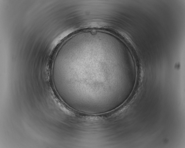 X0000113631018200910021847