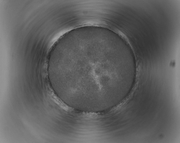 X0000113631019200910021847