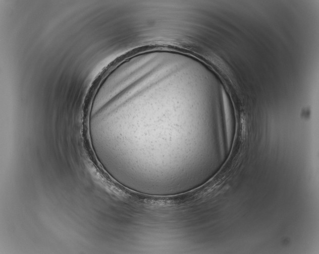 X0000113631020200910021847