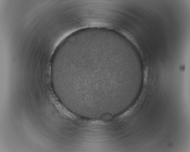X0000113631021200910021847