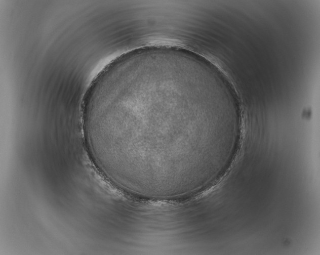 X0000113631022200910021847