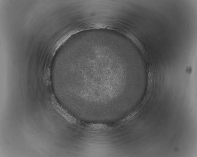 X0000113631023200910021847