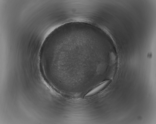 X0000113631024200910021847