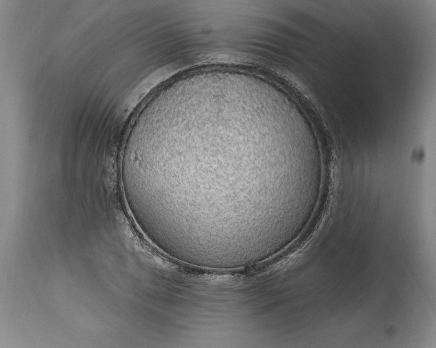 X0000113631025200910021847