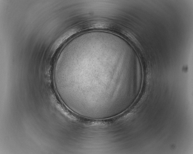 X0000113631026200910021847