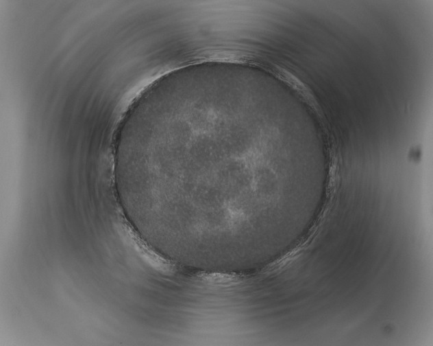 X0000113631027200910021847