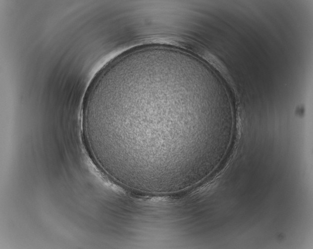 X0000113631028200910021847