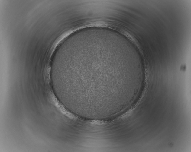 X0000113631029200910021847