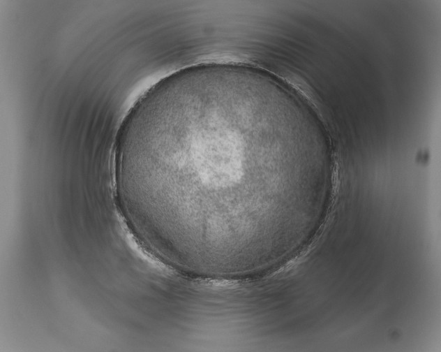 X0000113631030200910021847