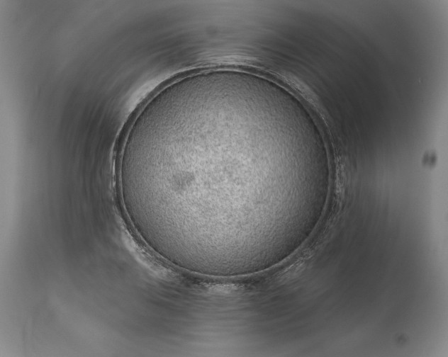 X0000113631031200910021847