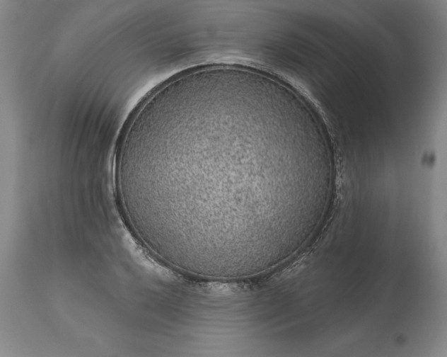 X0000113631032200910021847