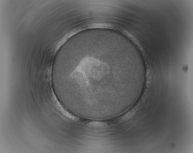 X0000113631033200910021847