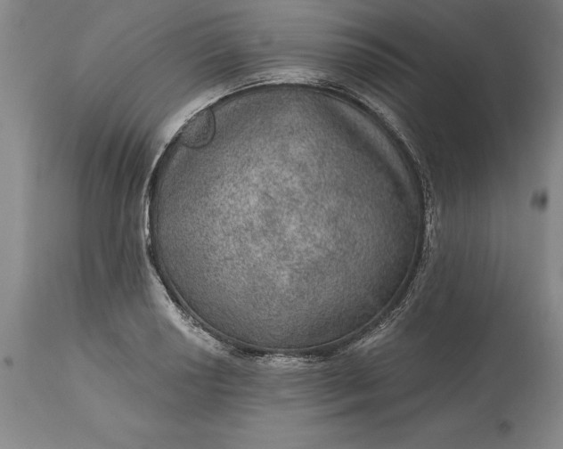 X0000113631034200910021847