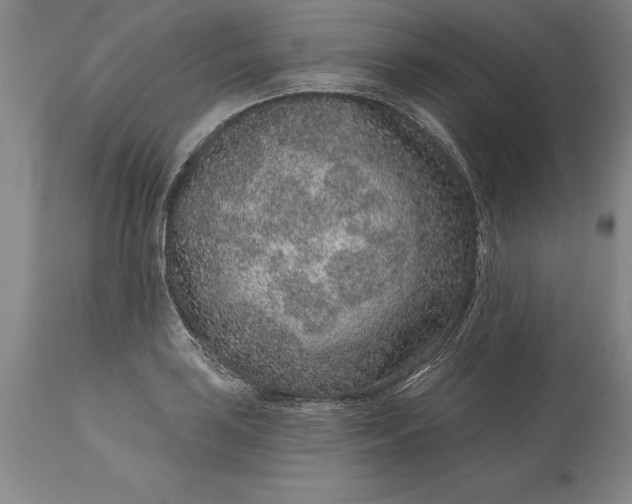X0000113631035200910021847
