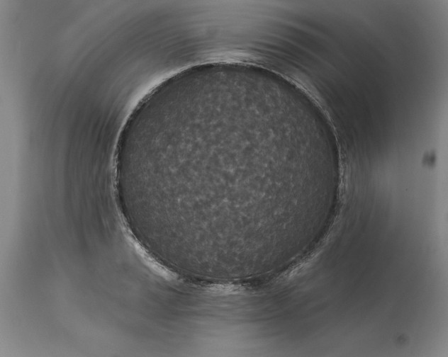 X0000113631037200910021847