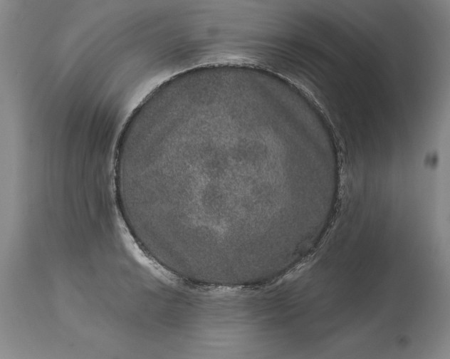 X0000113631038200910021847