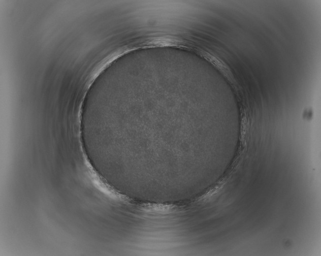 X0000113631039200910021847