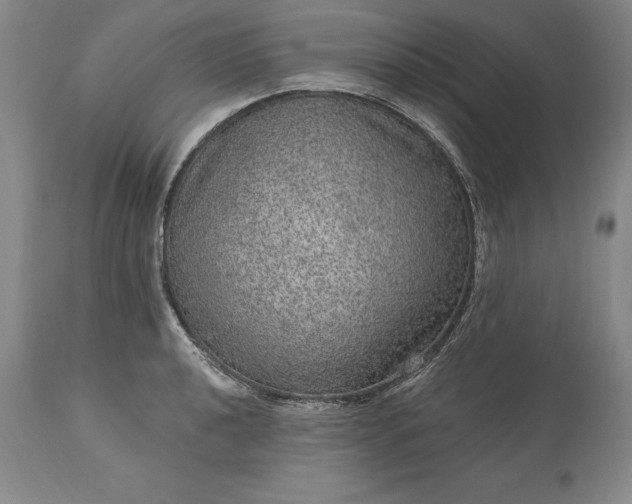 X0000113631040200910021847