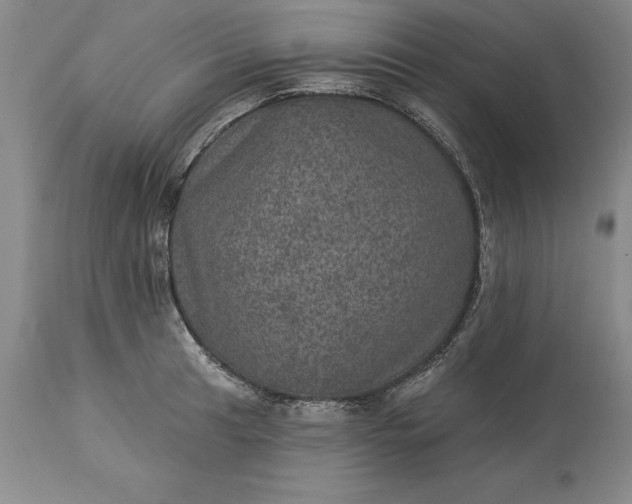 X0000113631041200910021847