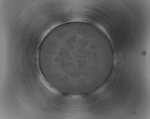 X0000113631043200910021847