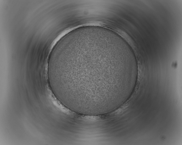 X0000113631044200910021847