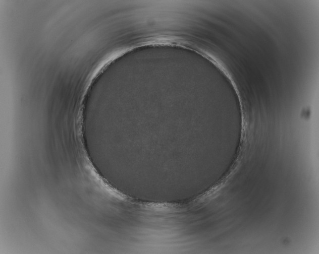 X0000113631045200910021847