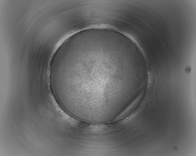 X0000113631046200910021847