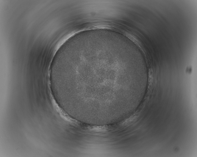 X0000113631047200910021847