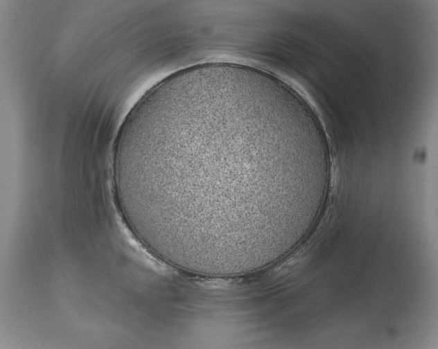 X0000113631048200910021847