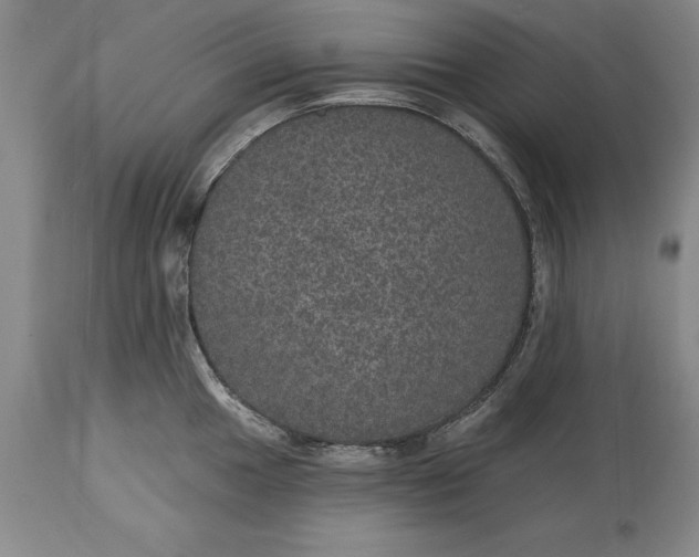 X0000113631049200910021847