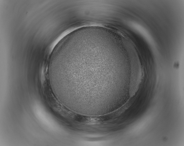 X0000113631052200910021847