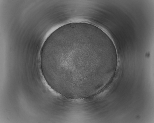 X0000113631053200910021847