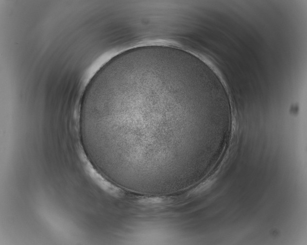 X0000113631054200910021847