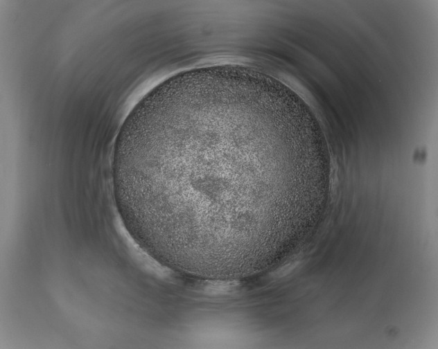X0000113631055200910021847