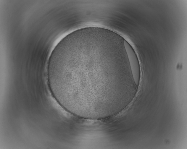 X0000113631056200910021847
