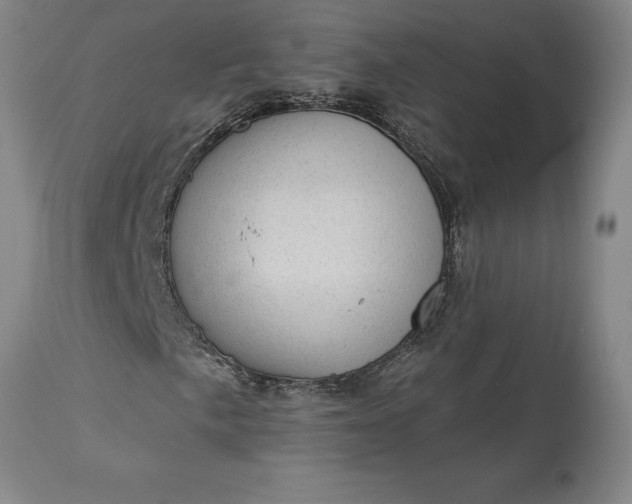 X0000113631057200910021846