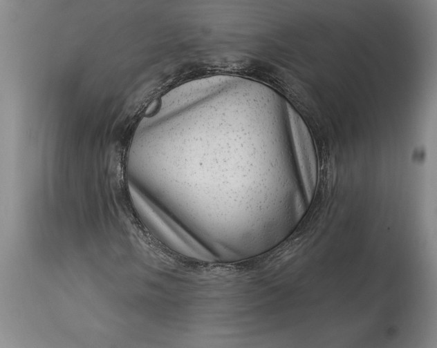 X0000113631058200910021846