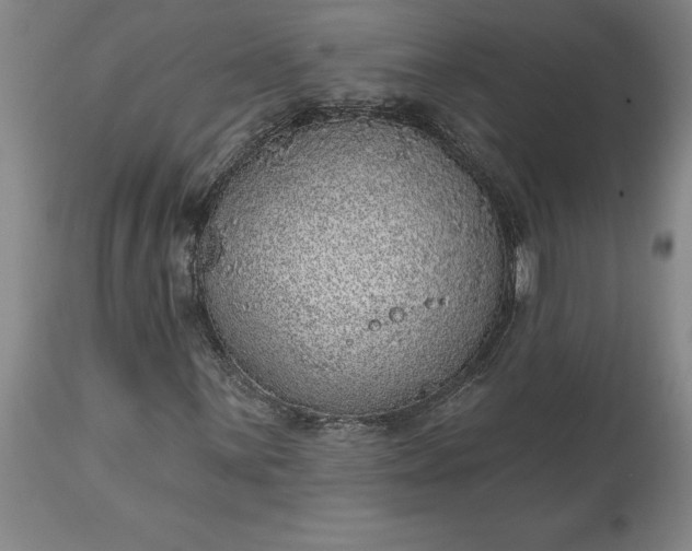 X0000113631059200910021846