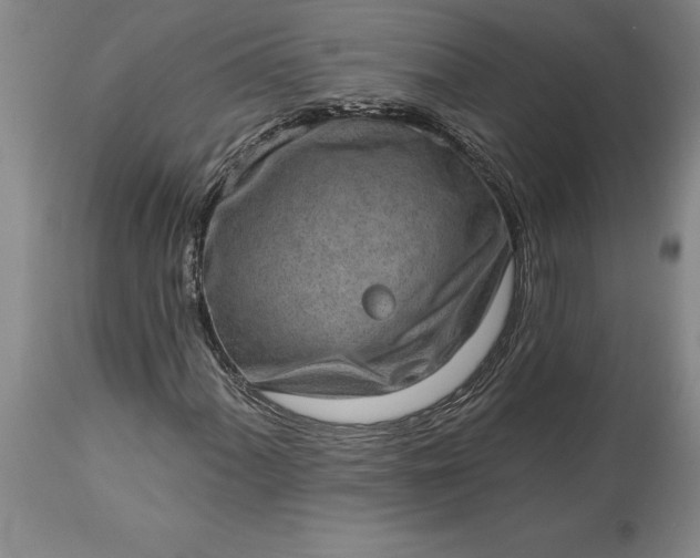 X0000113631060200910021846